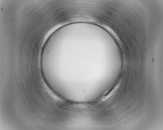 X0000087751246200706041054