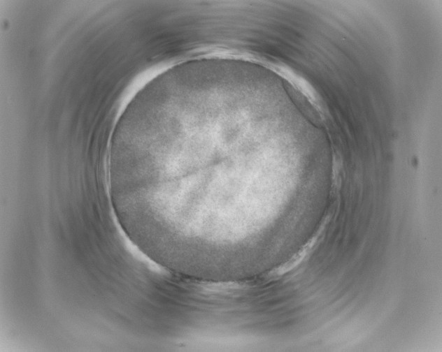 X0000087751247200706041054