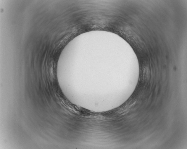 X0000087751250200706041053