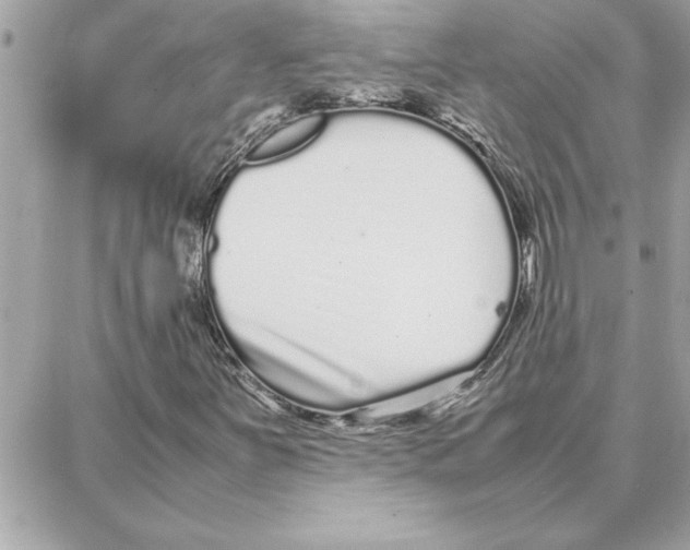 X0000087751251200706041053