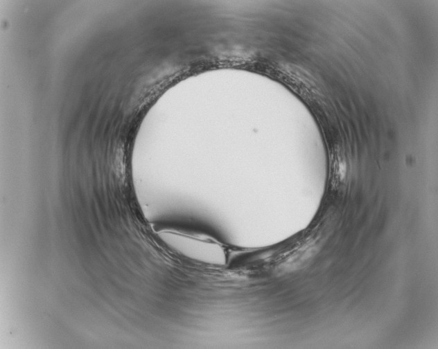 X0000087751252200706041053