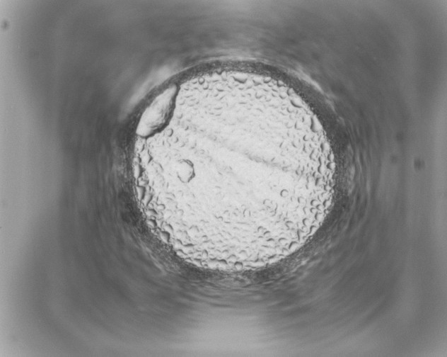 X0000087751255200706041053