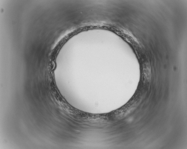 X0000087751256200706041053