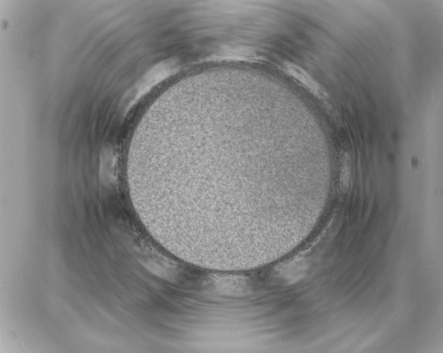 X0000087751258200706041053