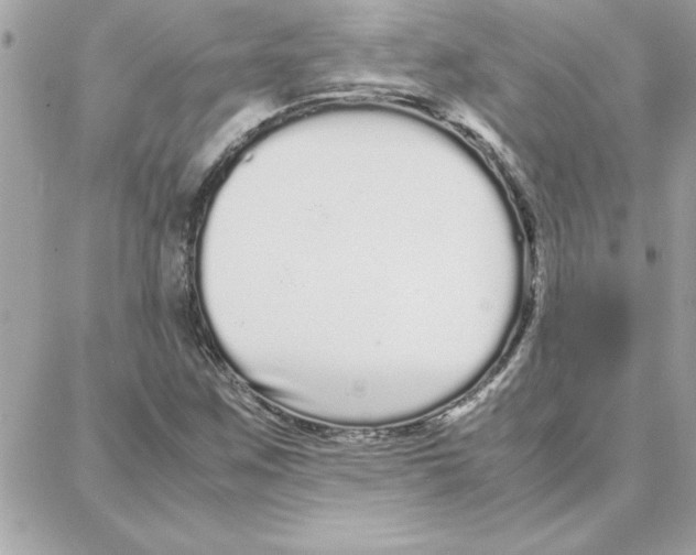 X0000087751259200706041053