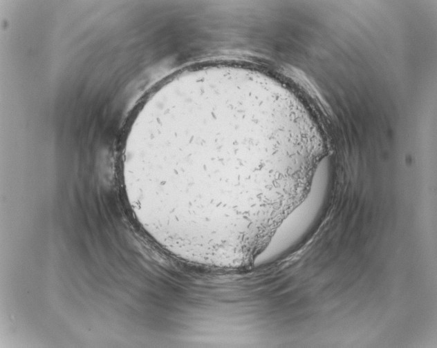 X0000087751260200706041053