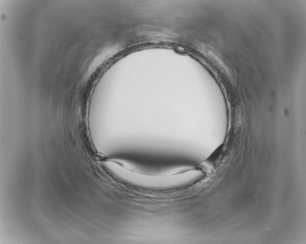 X0000087751261200706041053