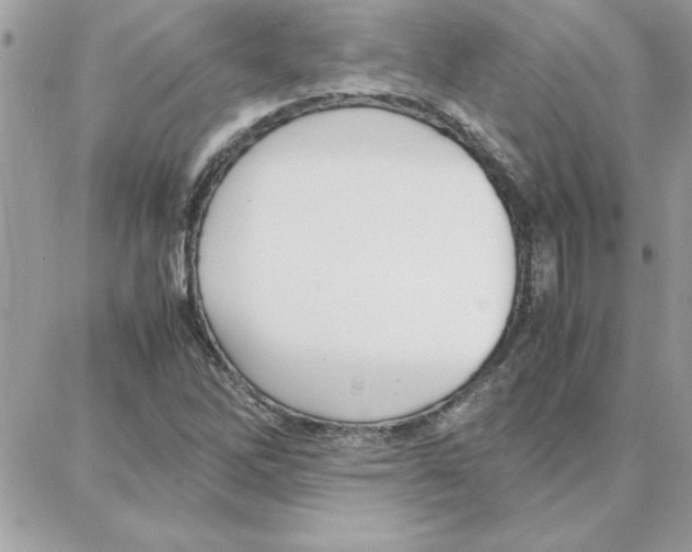 X0000087751262200706041053