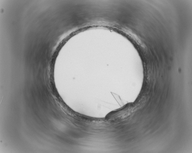 X0000087751264200706041053