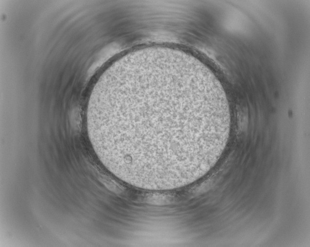 X0000087751266200706041053