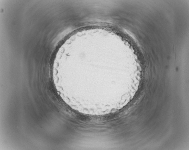 X0000087751267200706041053