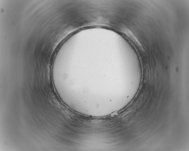 X0000087751268200706041053