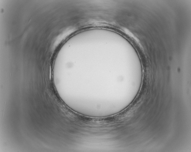 X0000087751269200706041053