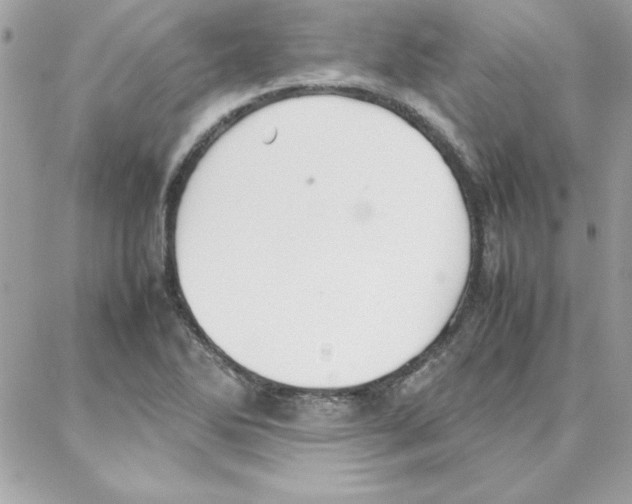 X0000087751270200706041053