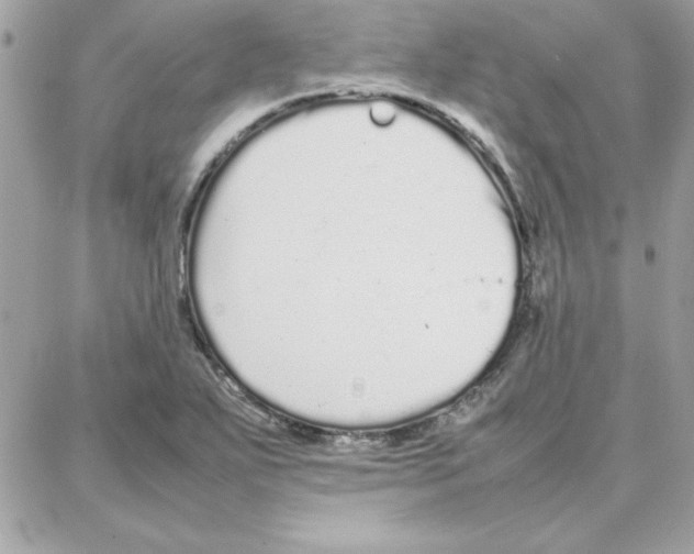 X0000087751271200706041052