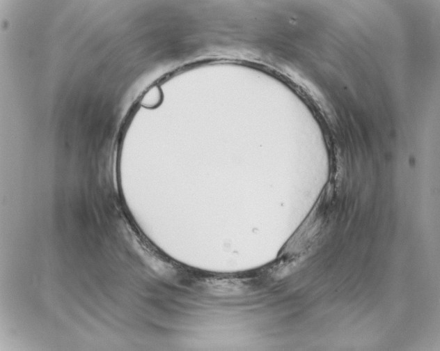 X0000087751272200706041052