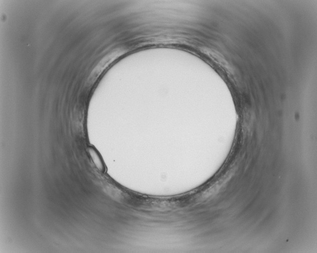 X0000087751273200706041052