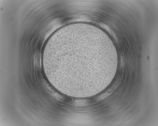 X0000087751274200706041052