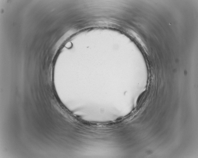 X0000087751275200706041052