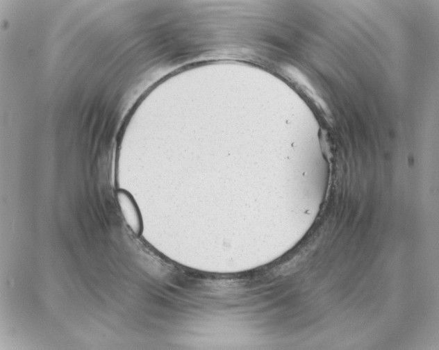 X0000087751276200706041052