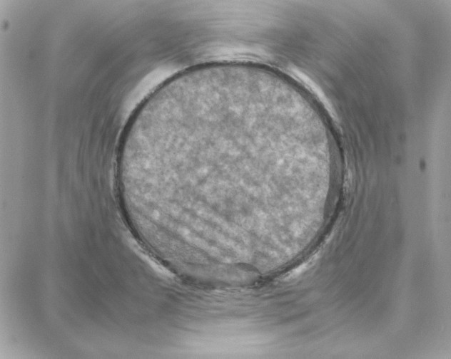 X0000087751277200706041052