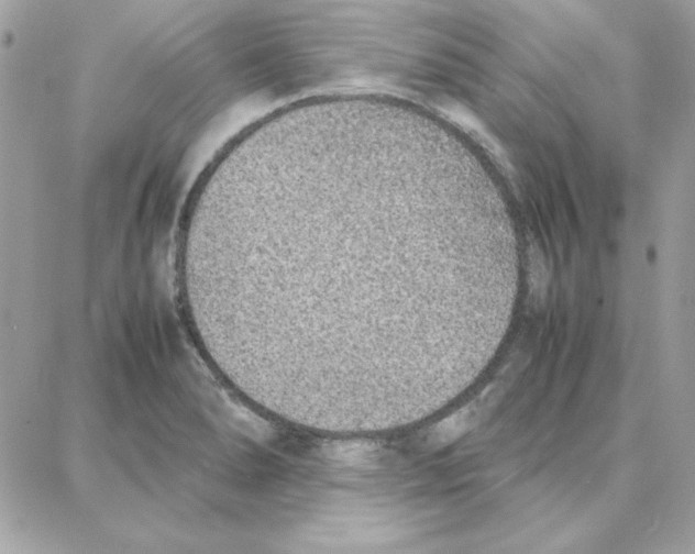 X0000087751278200706041052