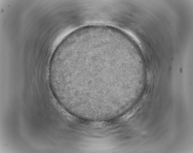 X0000087751279200706041052