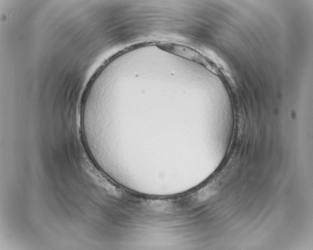 X0000087751280200706041052