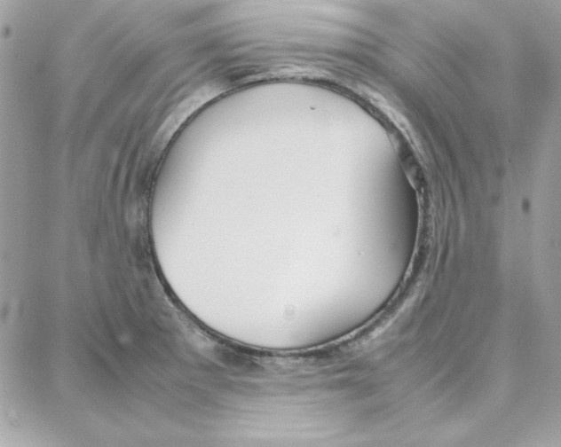 X0000087751281200706041052