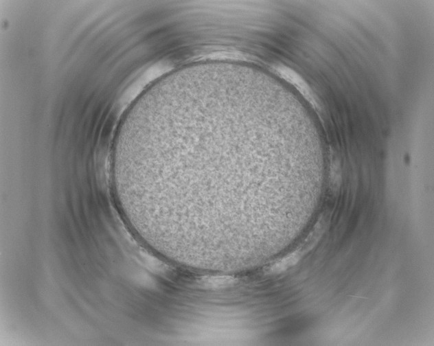 X0000087751282200706041052