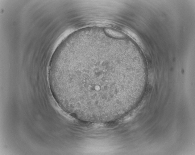 X0000087751283200706041052