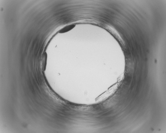 X0000087751284200706041052