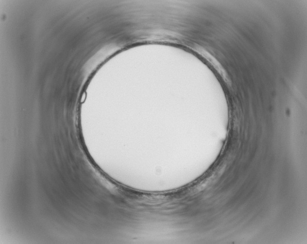 X0000087751285200706041052