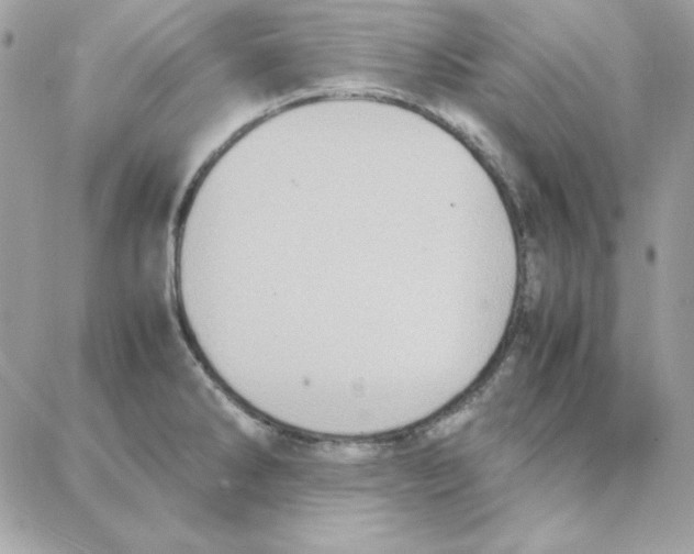 X0000087751286200706041052