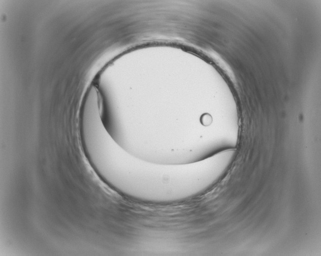 X0000087751287200706041052