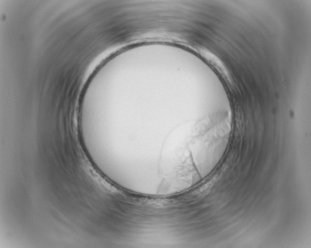 X0000087751288200706041052