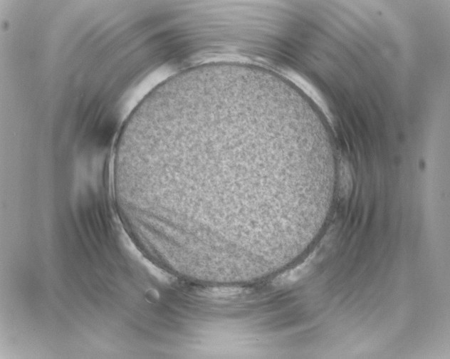 X0000087751290200706041052