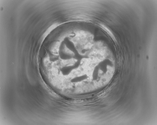 X0000087751291200706041052