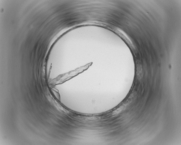 X0000087751292200706041052