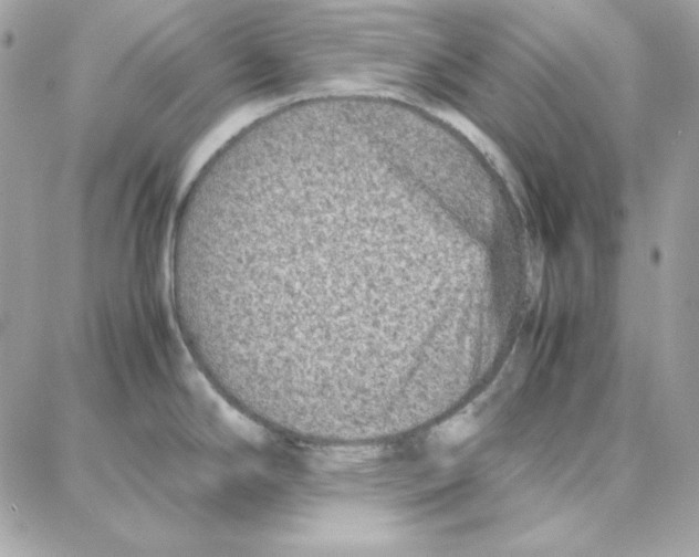 X0000087751294200706041052