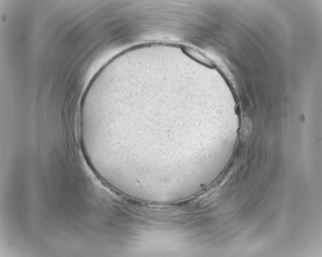 X0000087751295200706041052