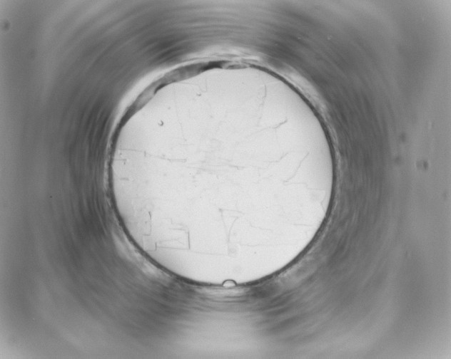 X0000087751296200706041052