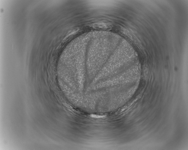 X0000087751297200706041051