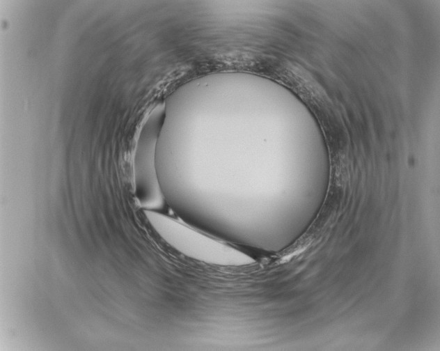 X0000087751298200706041051