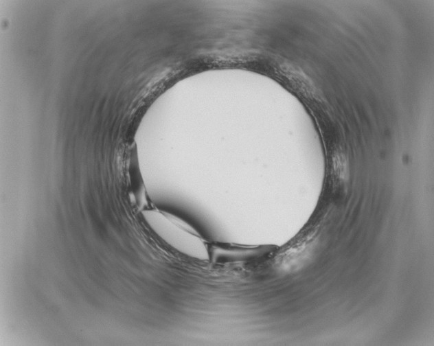 X0000087751300200706041051