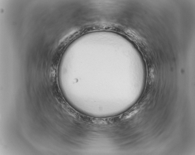 X0000087751302200706041051