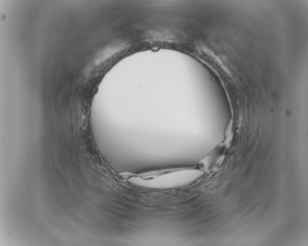 X0000087751303200706041051