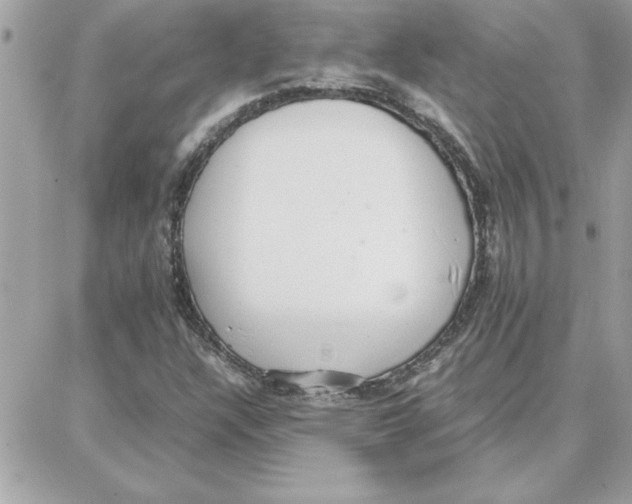 X0000087751304200706041051