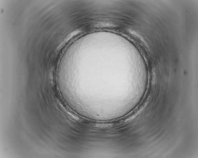 X0000087751305200706041051