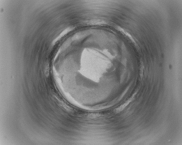 X0000087751306200706041051